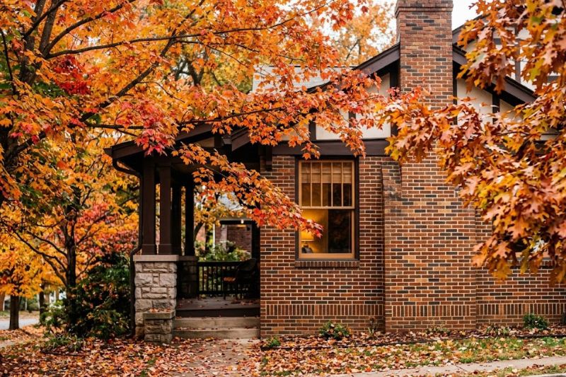 Autumn Chattanooga street with pecan canopy — fall rodent season guide